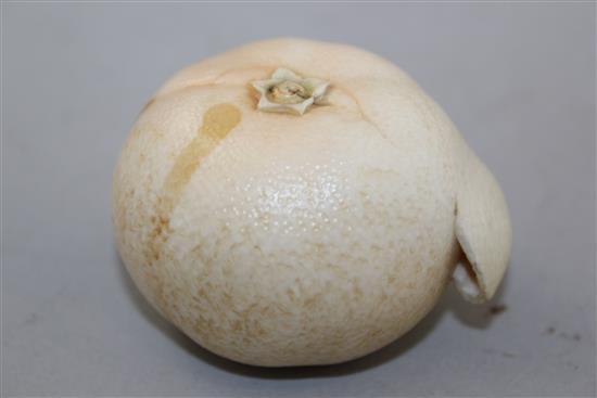 A Japanese ivory model of a partially peeled satsuma, early 20th century, 6.5cm, colour faded, age cracks